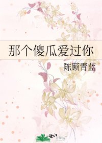 那個傻瓜愛過你