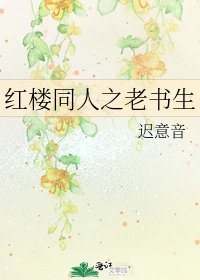紅樓同人之老書生